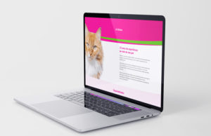 Projeto de Website Profissional MK3Digital - Dra's Pet - Clínica Veterinária