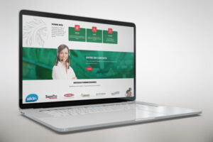 Projeto de Website Profissional MK3Digital - Vassouras Guarany - Distribuido de Produtos e Descartaveis