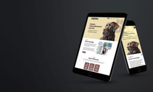 Projeto de Website Profissional MK3Digital - Klotho